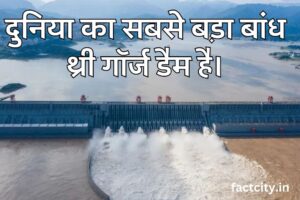 1000 (number) visual data 7