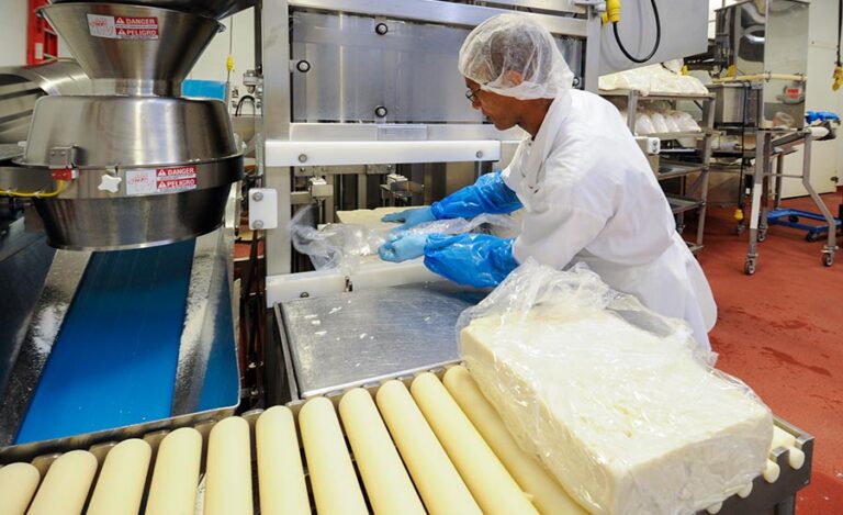Best Cheese Packers Jobs in Mexico