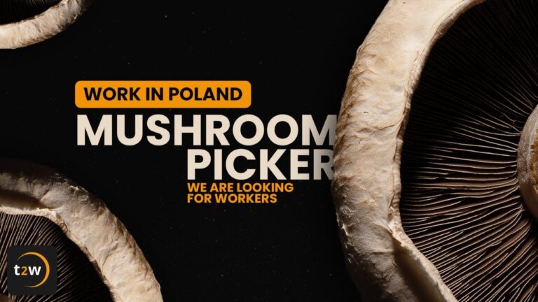 Mushroom Farm Jobs in Poland