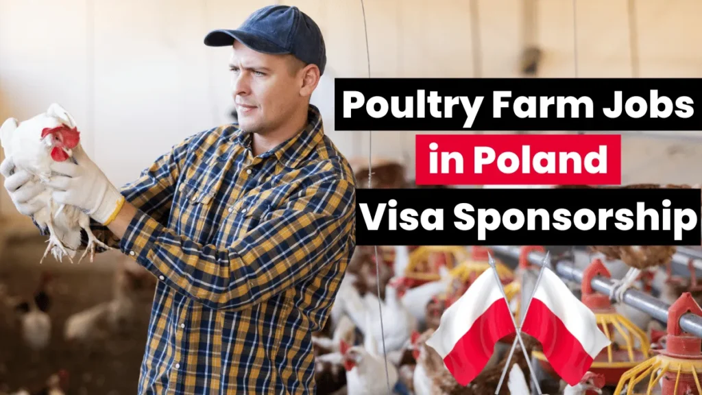 Poultry Farm Jobs in Poland for Foreigners