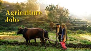 Agricultural Farming Jobs in Moldova