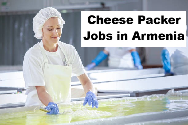 Cheese Packer Jobs in Armenia