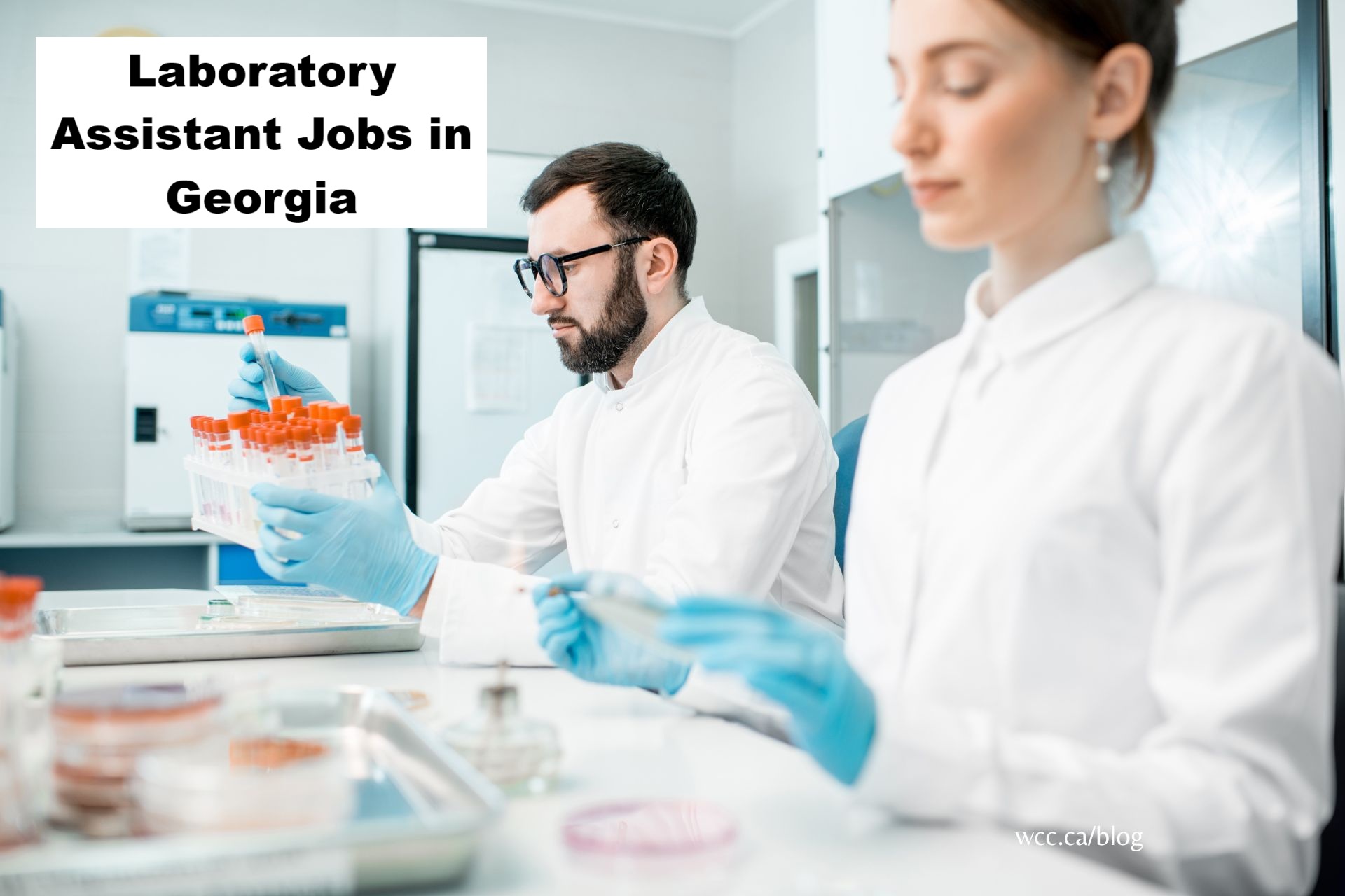 Laboratory Assistant Jobs in Georgia
