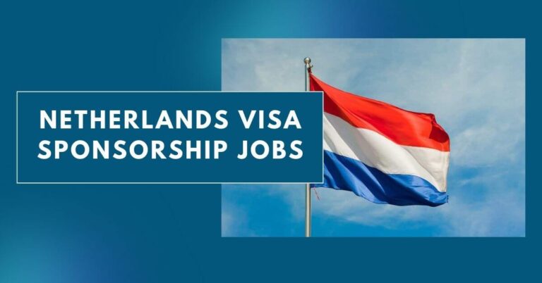 Netherlands Visa Sponsorship Jobs