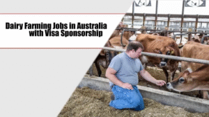 Dairy Farming Jobs in Australia