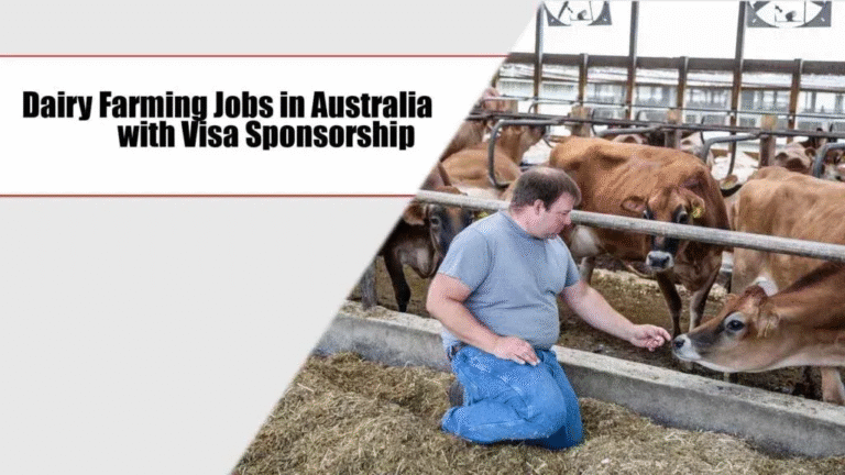 Dairy Farming Jobs in Australia
