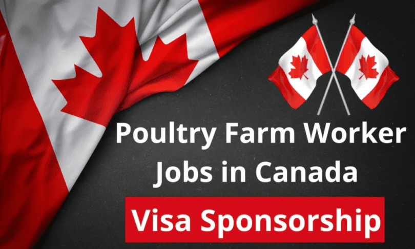 Poultry Farm Worker Jobs in Canada