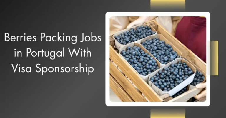 Blueberry Picking Jobs in Portugal