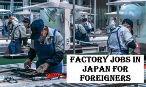 Factory jobs in japan for foreigners