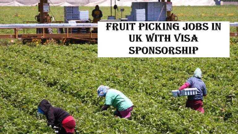 Fruit Picking Jobs in UK