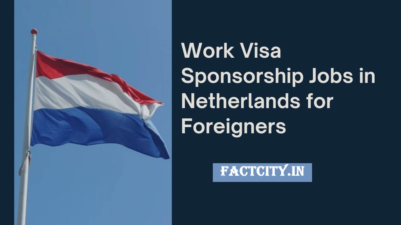 Netherlands Visa Sponsorship Jobs