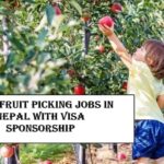 Farm Fruit Picking Jobs in Nepal
