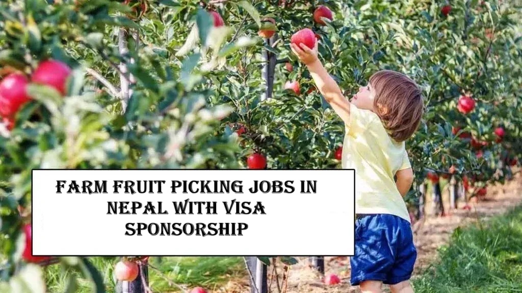 Farm Fruit Picking Jobs in Nepal