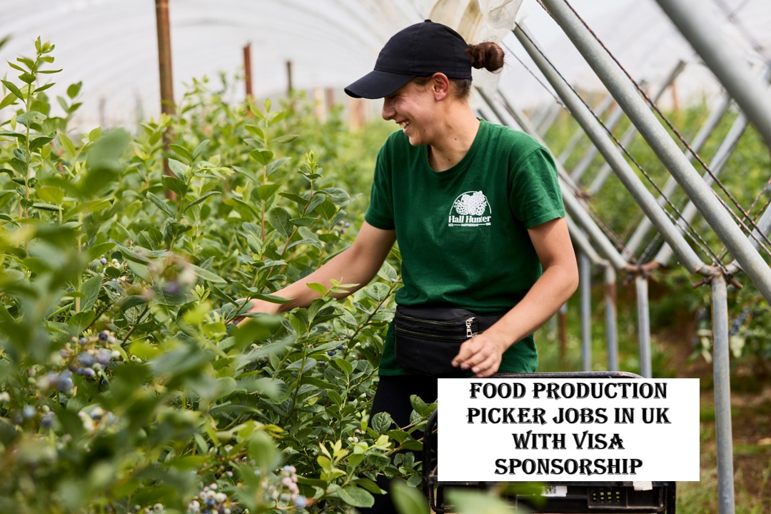 Food Production Picker Jobs in UK