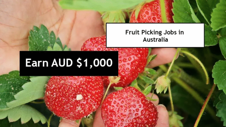 Fruit Picking Jobs in Australia