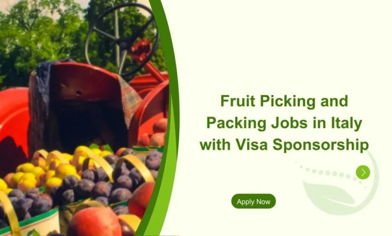 Fruit packer Jobs in Italy