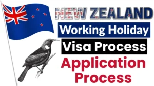 New Zealand Working Holiday Visa Process Nov 2025