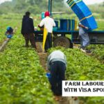 Farm Labour Jobs in Italy