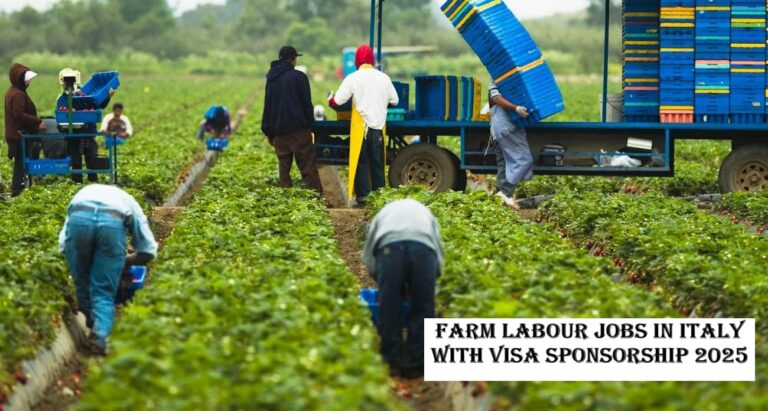 Farm Labour Jobs in Italy