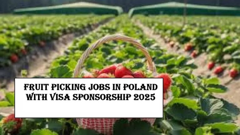Fruit Picking Jobs In Poland With Visa Sponsorship