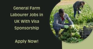 General Farm Labourer Jobs in UK