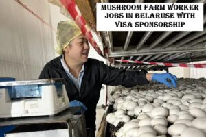 Mushroom Farm Worker Jobs in belaruse