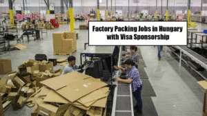 Packing Helper Jobs in Hungary