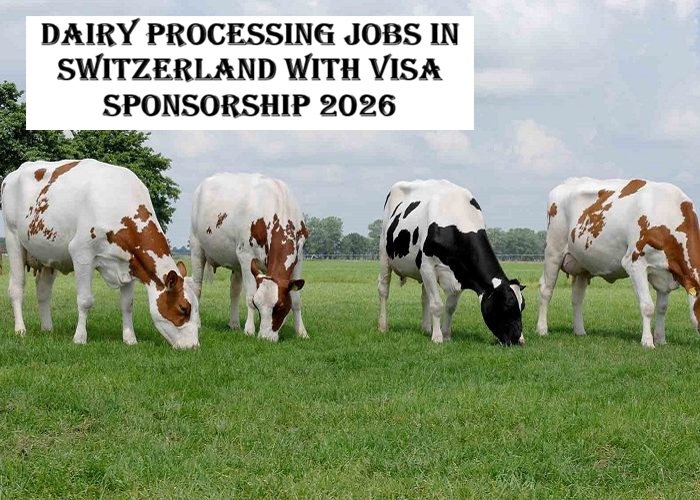 Dairy Processing Jobs in Switzerland