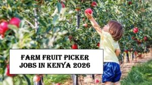 Farm Fruit Picker Jobs in Kenya 2026