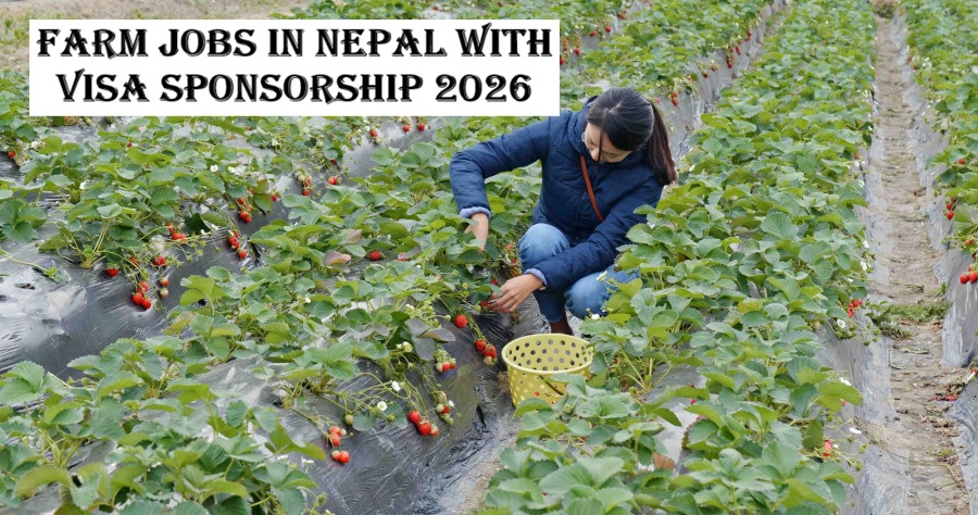 Farm Jobs in Nepal