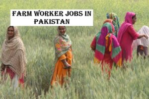 Farm Worker Jobs in Pakistan