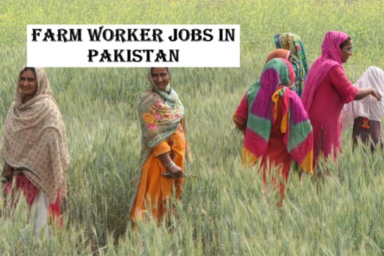 Farm Worker Jobs in Pakistan
