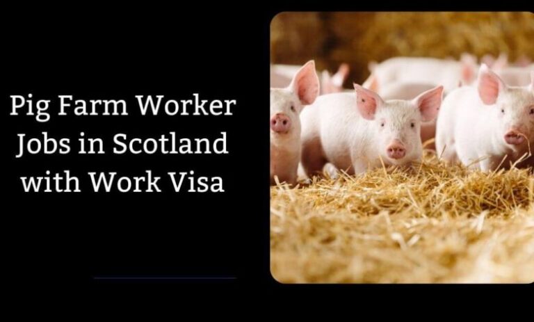 Pig Farm Worker Jobs in Scotland