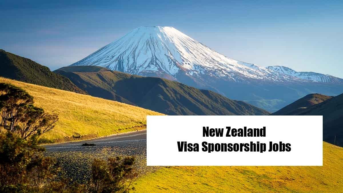 Skilled Worker Jobs in New Zealand 2026