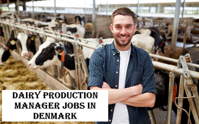 Dairy Production Manager Jobs in Denmark