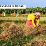 Farm Jobs in Nepal
