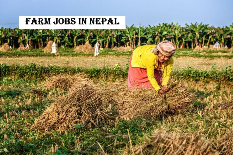 Farm Jobs in Nepal