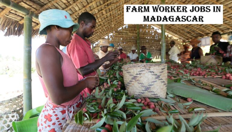 Farm Worker Jobs in Madagascar