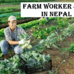 Farm Worker Jobs in Nepal