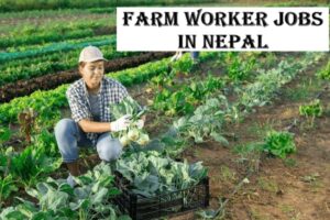 Farm Worker Jobs in Nepal