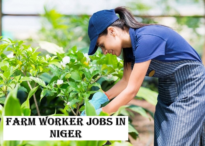 Farm Worker Jobs in Niger