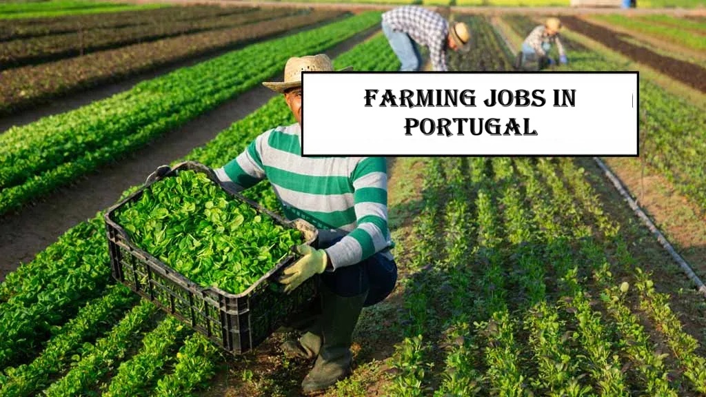 Farming Jobs in Portugal