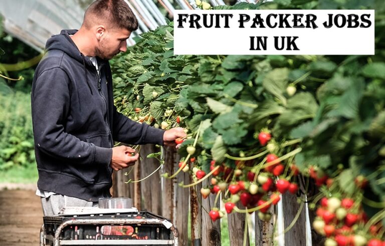 Fruit Packer Jobs in UK