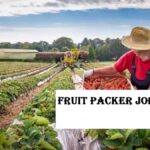 Fruit Packer Jobs in UK