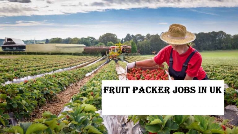 Fruit Packer Jobs in UK