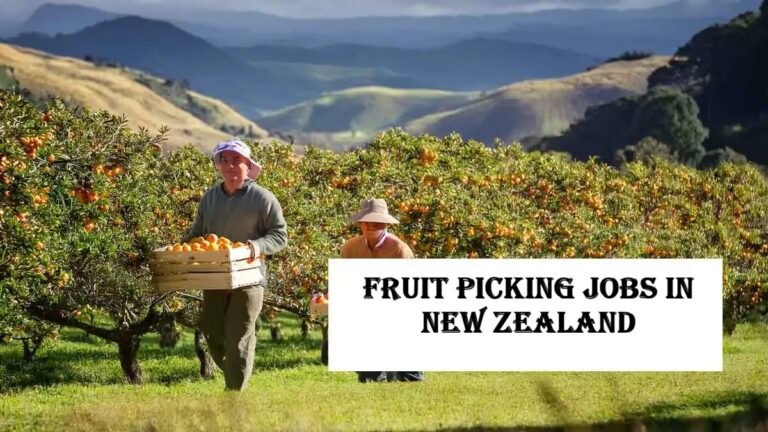 Fruit Picking Jobs in New Zealand
