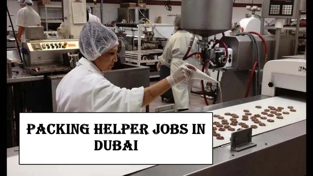 Packing Helper Jobs in Dubai