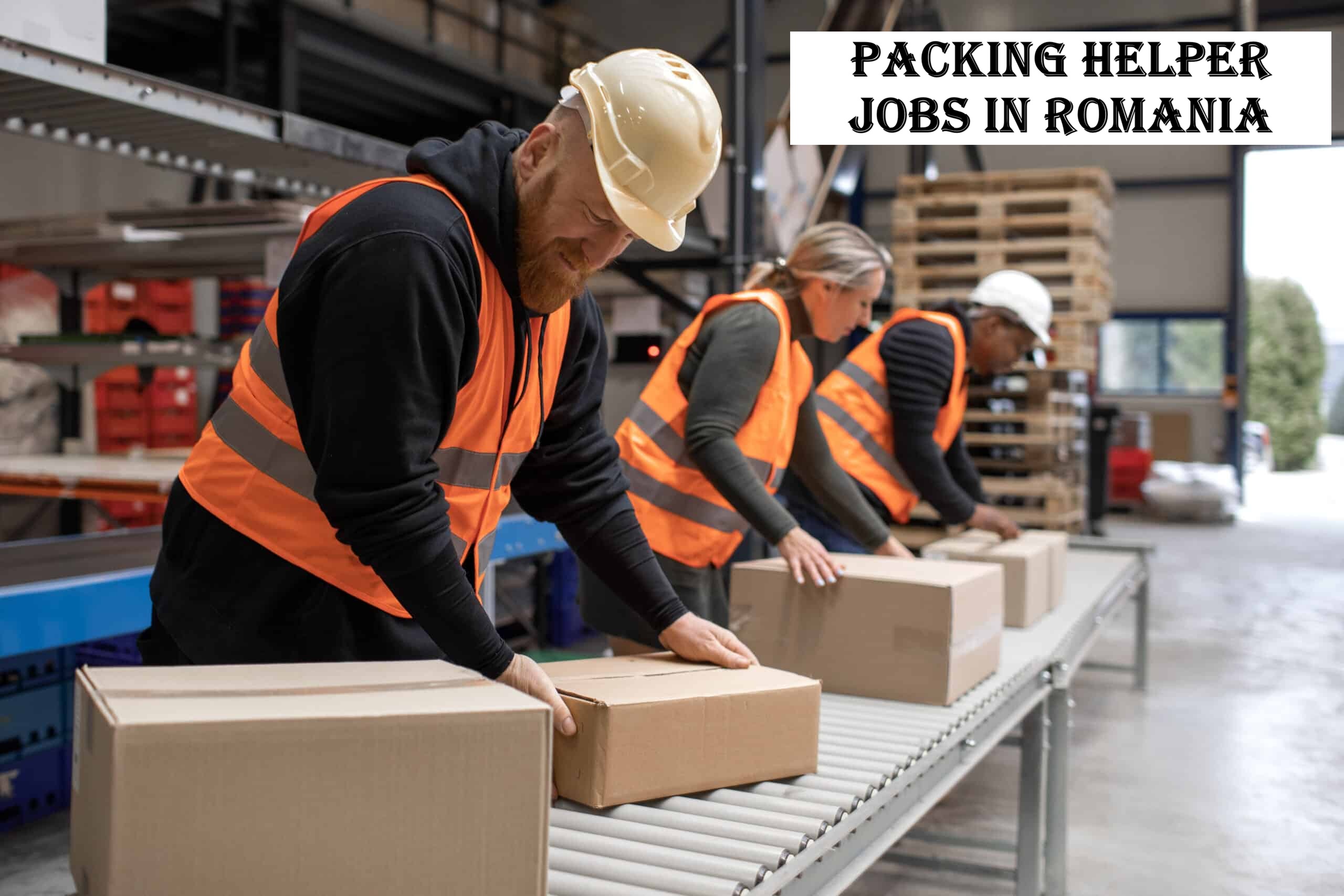 Packing Helper Jobs in Romania