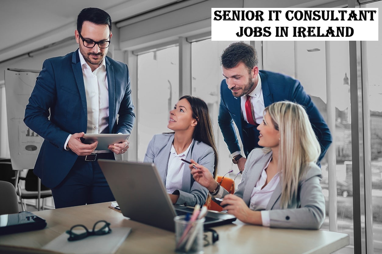 Senior IT Consultant Jobs in Ireland