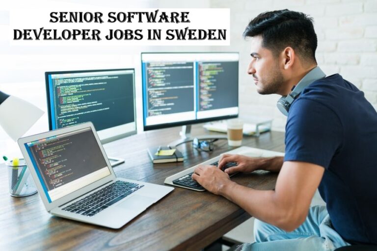 Senior Software Developer Jobs in Sweden